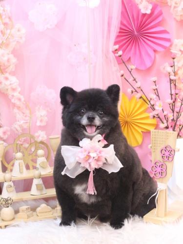 20250316れおくん